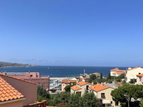 Banyuls-sur-Mer, bel appt, terrasse, parking, proche port - FR-1-309-45